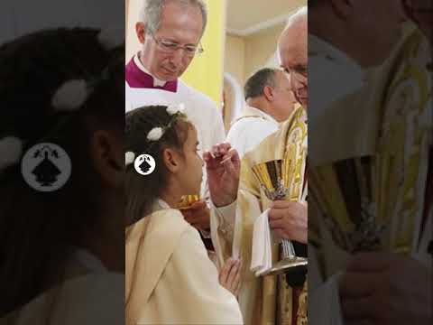 Video: ¿Qué significa que un Papa excomulgue a alguien?