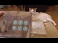 うちのこエレクトリック＋AQUA（給水器）を買ってみた　【ねこ cat】