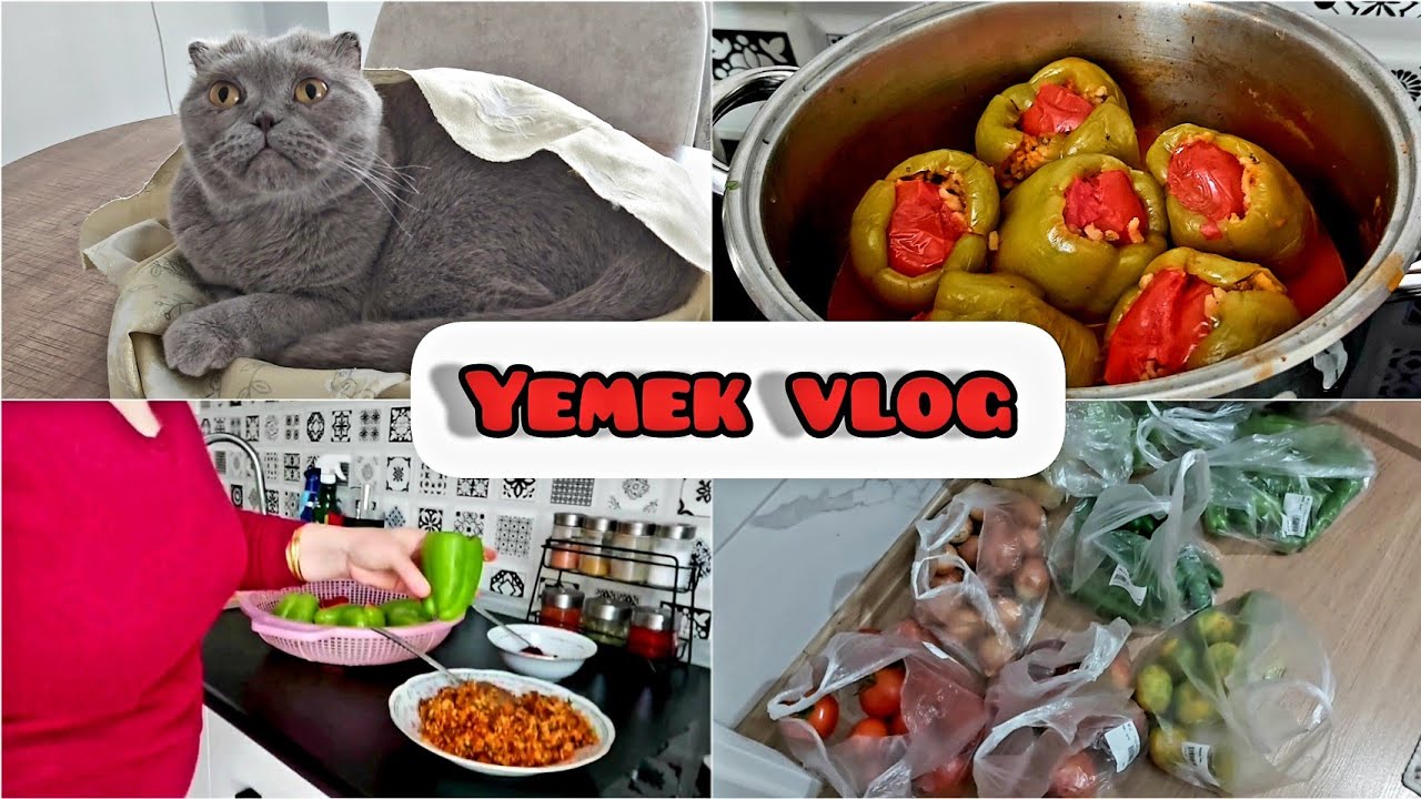 SESSİZ YEMEK TARİFİ VLOG ⁉️ NEFİS BİBER DOLMASI ⁉️ POLLY ALIŞVERİŞ POŞETLERİNI KONTROL EDİYOR ⁉️???? SESSİZ YEMEK TARİFİ VLOG ⁉️ NEFİS BİBER DOLMASI ⁉️ POLLY ALIŞVERİŞ POŞETLERİNI KONTROL EDİYOR ⁉️????