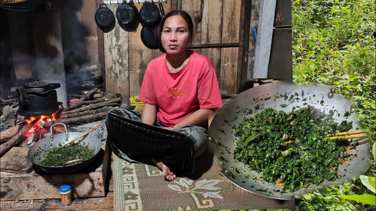 Going up the mountains to collect cassava leaves and stir - fry them with pork fat for dinner.