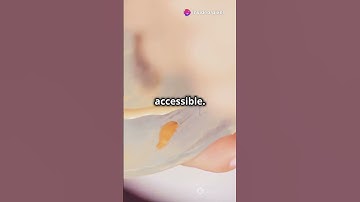 Top Mistakes to Avoid on Scratch!#shorts #coding #programming #scratch #kidscoding #