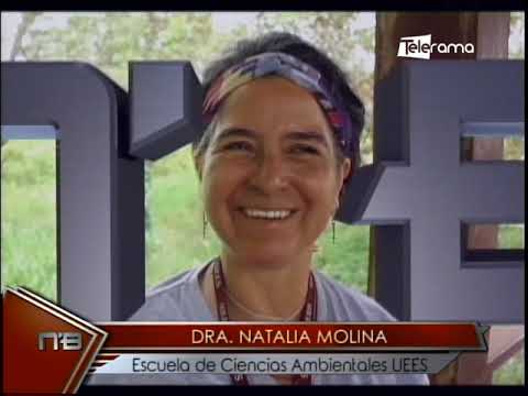 Reconocimiento de manglares de Santay y métodos de siembra