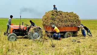 Sonalika DI 47 RX Tractor fully loaded || JCB 3DX Machine || Part- 52 || Hag Tube BD