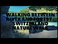 Walking between river and forest - Nature Walk in Switzerland