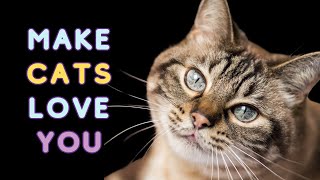 11 Scientifically PROVEN Ways to Make ANY Cat Love You!