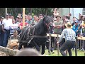 Concurs cu cai de tractiune   proba de simplu   Bobolia, Prahova 27 Mai 2023 Nou!!!