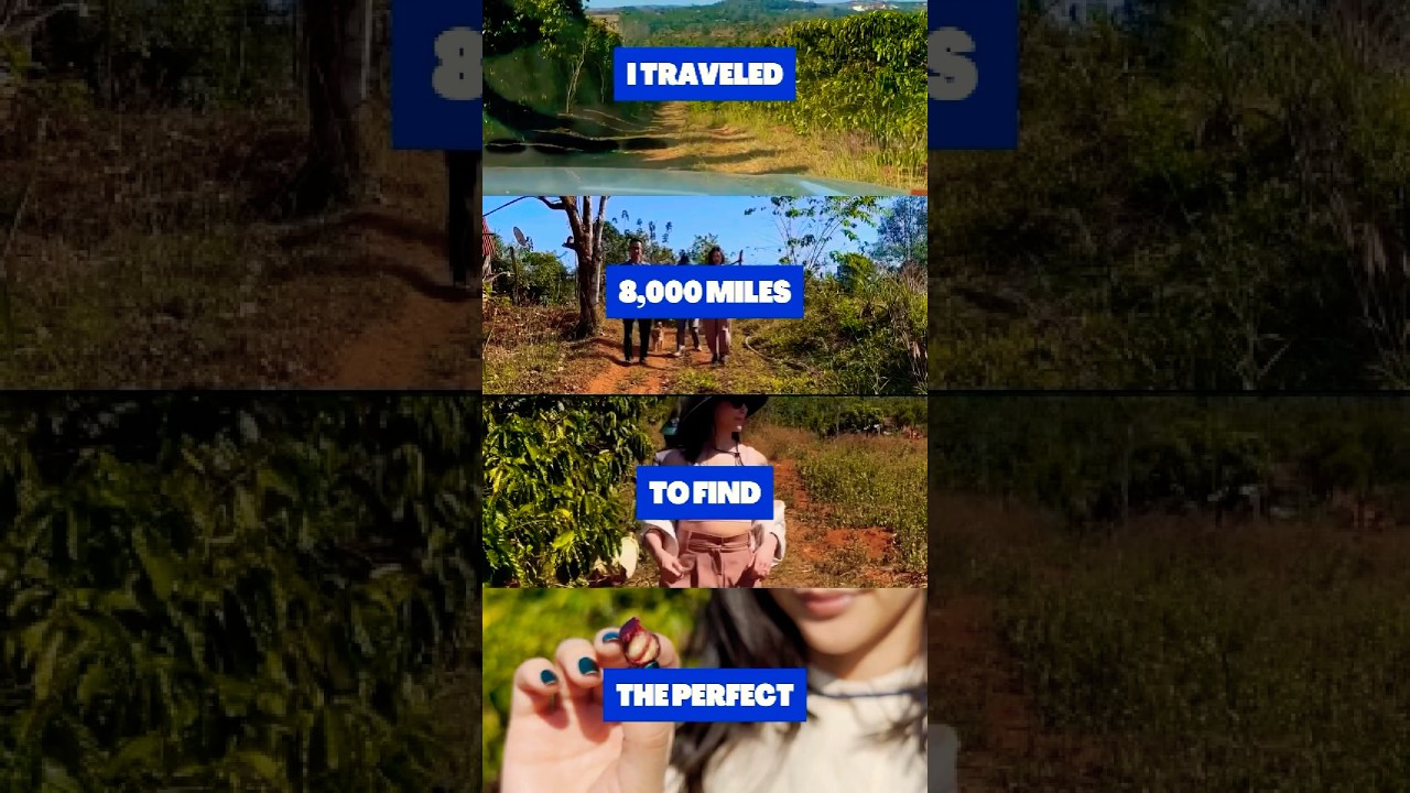 We set out to honor Vietnam’s coffee culture—and now it’s on shelves thanks to your amazing support.