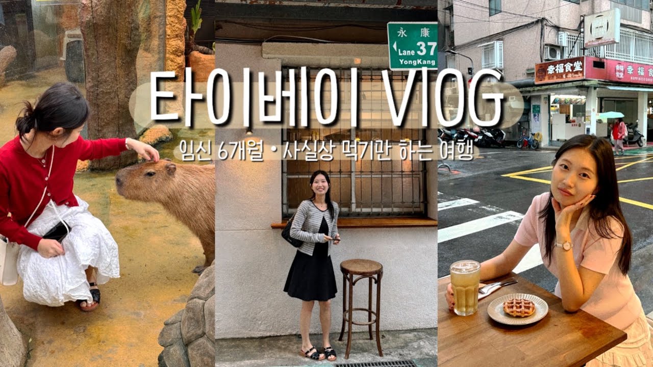 🇹🇼 4박 꽉채운 대만 타이베이 먹방 여행 • 로컬 맛집과 핫플까지! • 카피바라도 보는 카발란 일일투어 