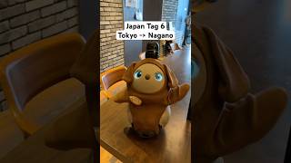 #japanreise #japanroadtrip #japanvlog #tokyo #nagano #rentalcar #japantipps #japantravel #naganocity