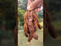 tatul vorta recipe bangla #shorts #funny #tatul