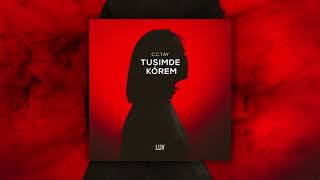 C.C.TAY -  Luv
