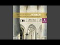 Miniature de la vidéo de la chanson Kantate, Bwv 107 "Was Willst Du Dich Betrüben": Iii. Aria (Basso) "Auf Ihn Magst Du Es Wagen"