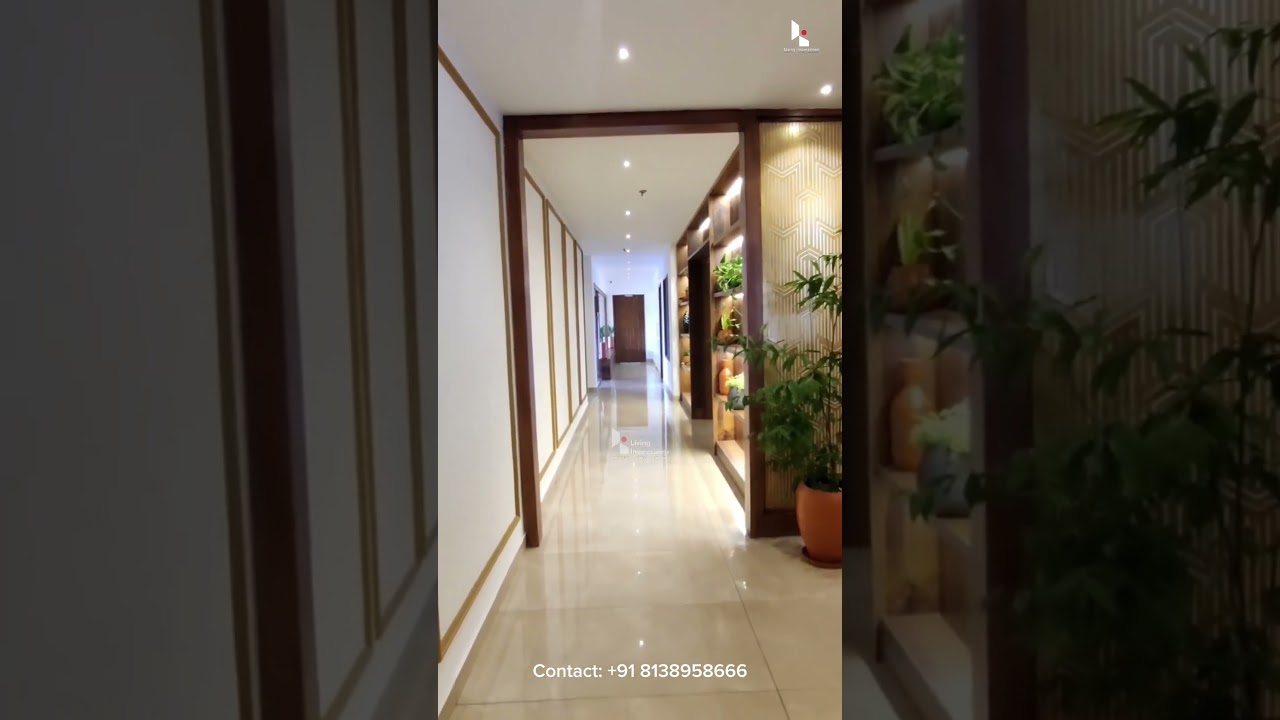 Reimagine, Redefine, Renovate🏠