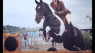 Gleiniant Pippi Longstocking 2014