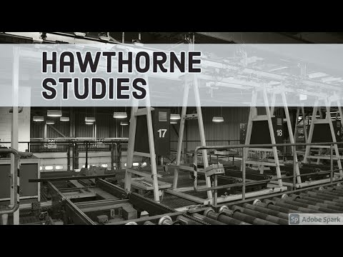 Video: Hawthorne Menggunakan Algoritma Untuk Membuat Barang Perawatan Kustom