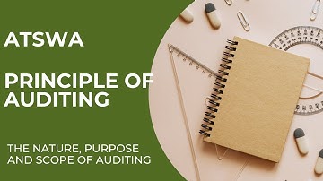 PA - The Nature, Purpose, and Scope of Auditing