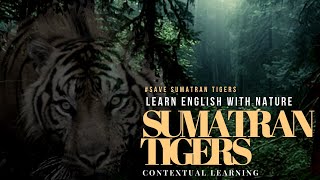 HARIMAU SUMATRA speaks ENGLISH🐾 Learn with Video Transcript #indonesia #english #online