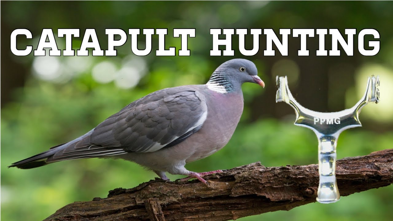 Slingshot catapult hunting YouTube