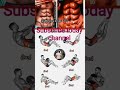 six pack workeout 💪 #i #bodybuilding #1 mahine ke bhitar body banva #ajjubhaiandsooneeta #sixpack