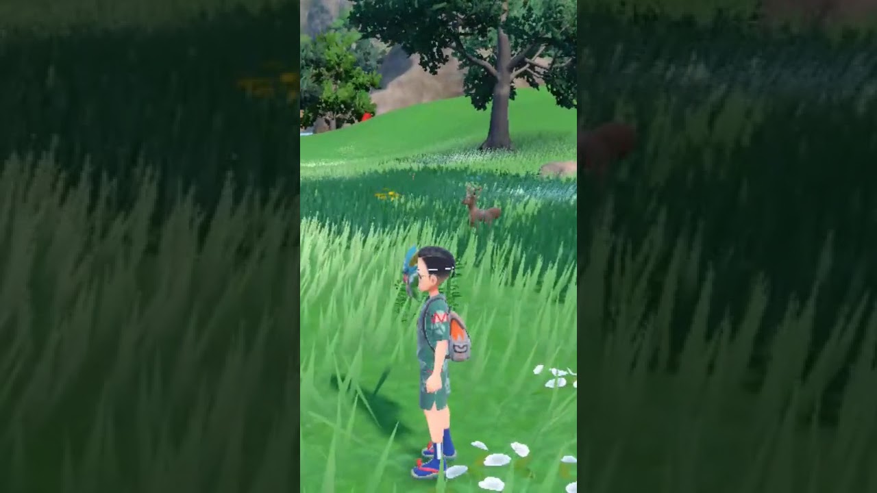 Where to Find Stantler | Pokemon Violet Kitakami 