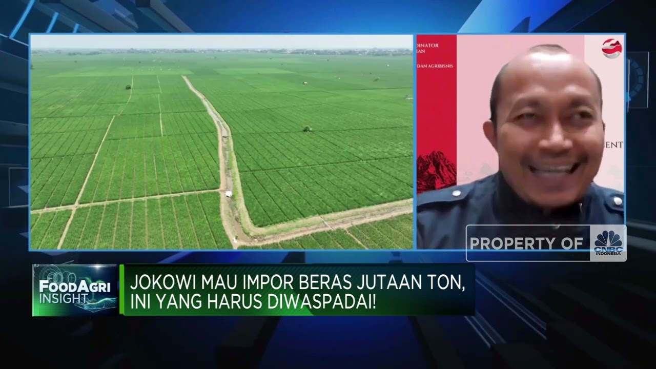Tak Sejahtera Bikin Petani “Malas” Tanam Padi, Stok Beras RI Terancam!