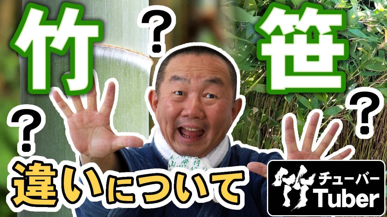 笹 と 竹 の 違い