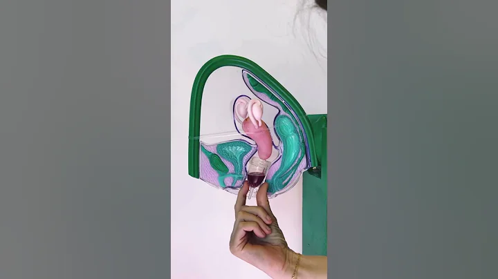 How Period Cups Work In Your Body 🩸🚨 #shorts