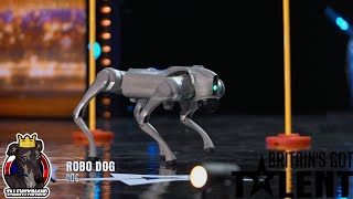 Robo Dog Full Performance | Britain's Got Talent 2024 Auditions Week 5