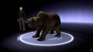 MonsterQuest - Giant Bears