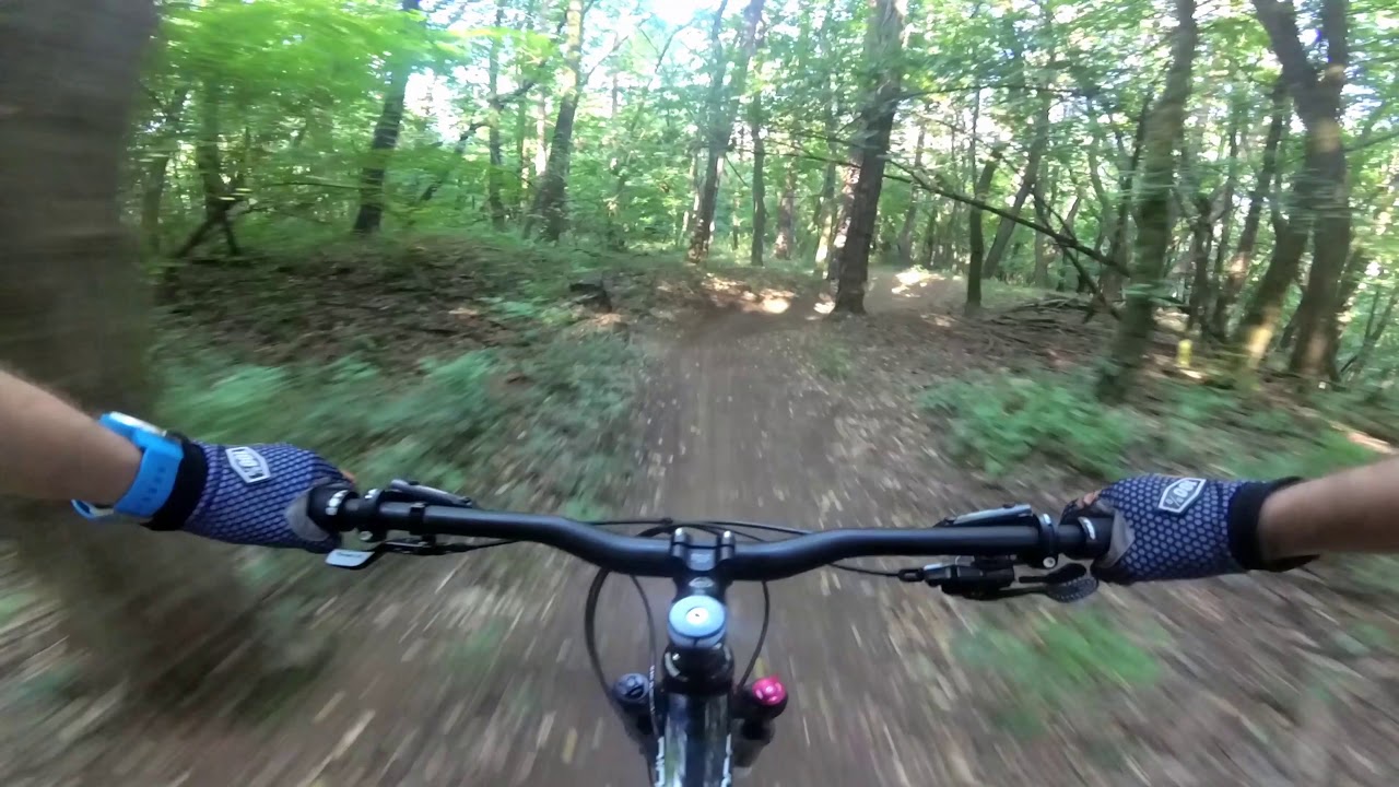 trail buddy mountain bike