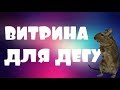 Новая витрина для дегу!