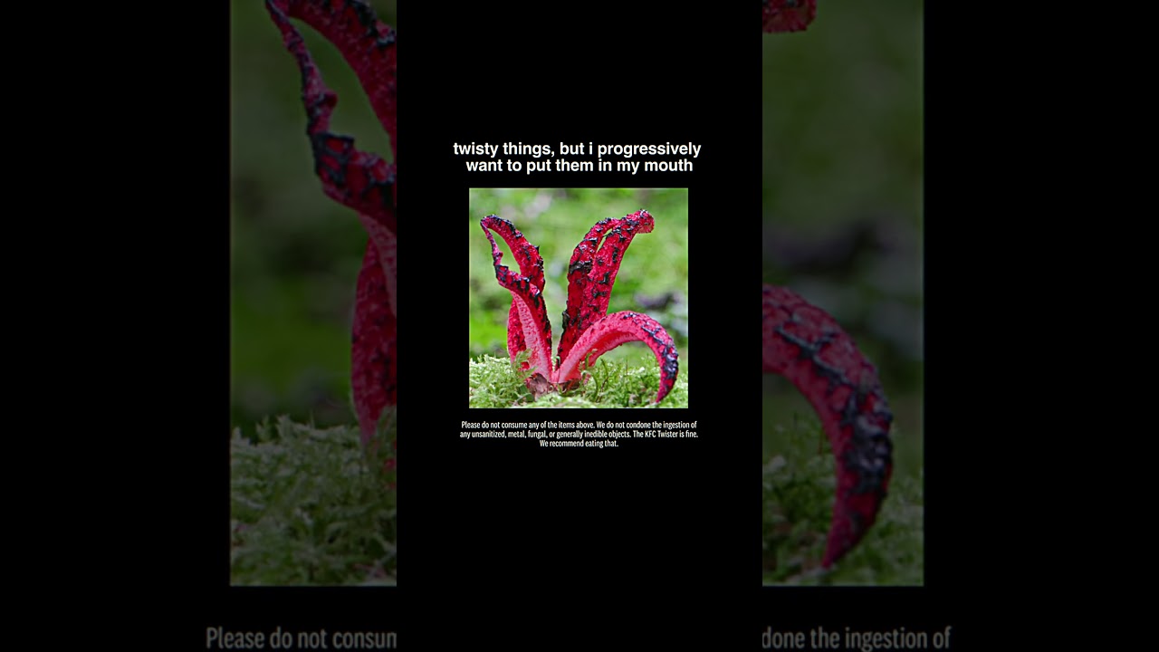 only one of these things is edible