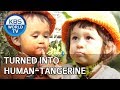 Turned into human-tangerine after eating tangerine! [The Return of Superman/2019.12.15]