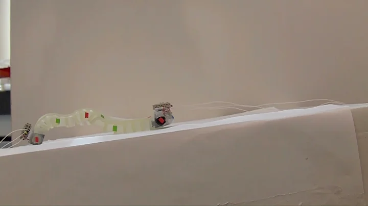 Design and locomotion control of a soft robot using friction manipulation and motor–tendon actuation