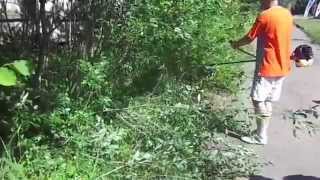Бензокоса Caiman WX21L Promo только нож (леска - опция)