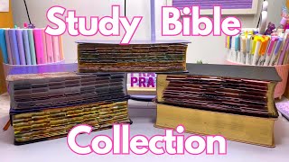 Study Bible Collection : Personal Size