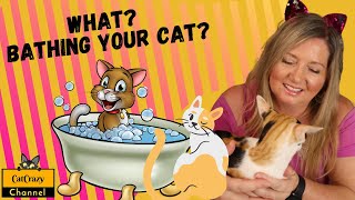 Catcrazy How To Best Bathe Your Cat Watch This...