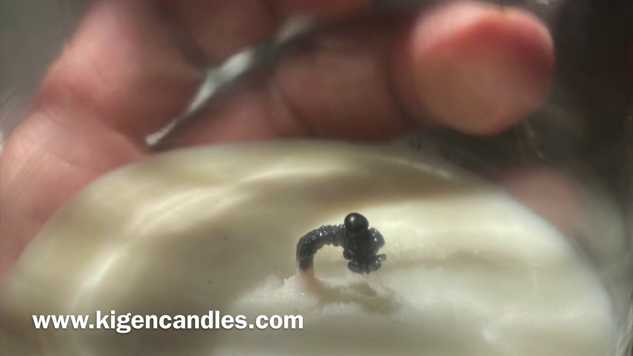 Trim your candle wicks YouTube