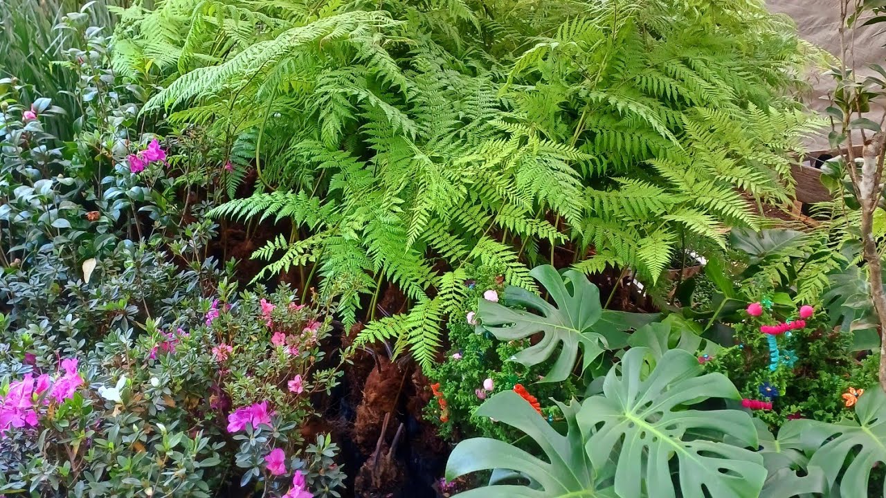 Inmenso mercado de Plantas en el Deportivo Xochimilco lo conoces?