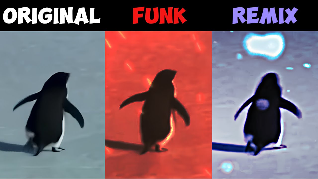 Penguin Mountain Original vs Funk vs Remix