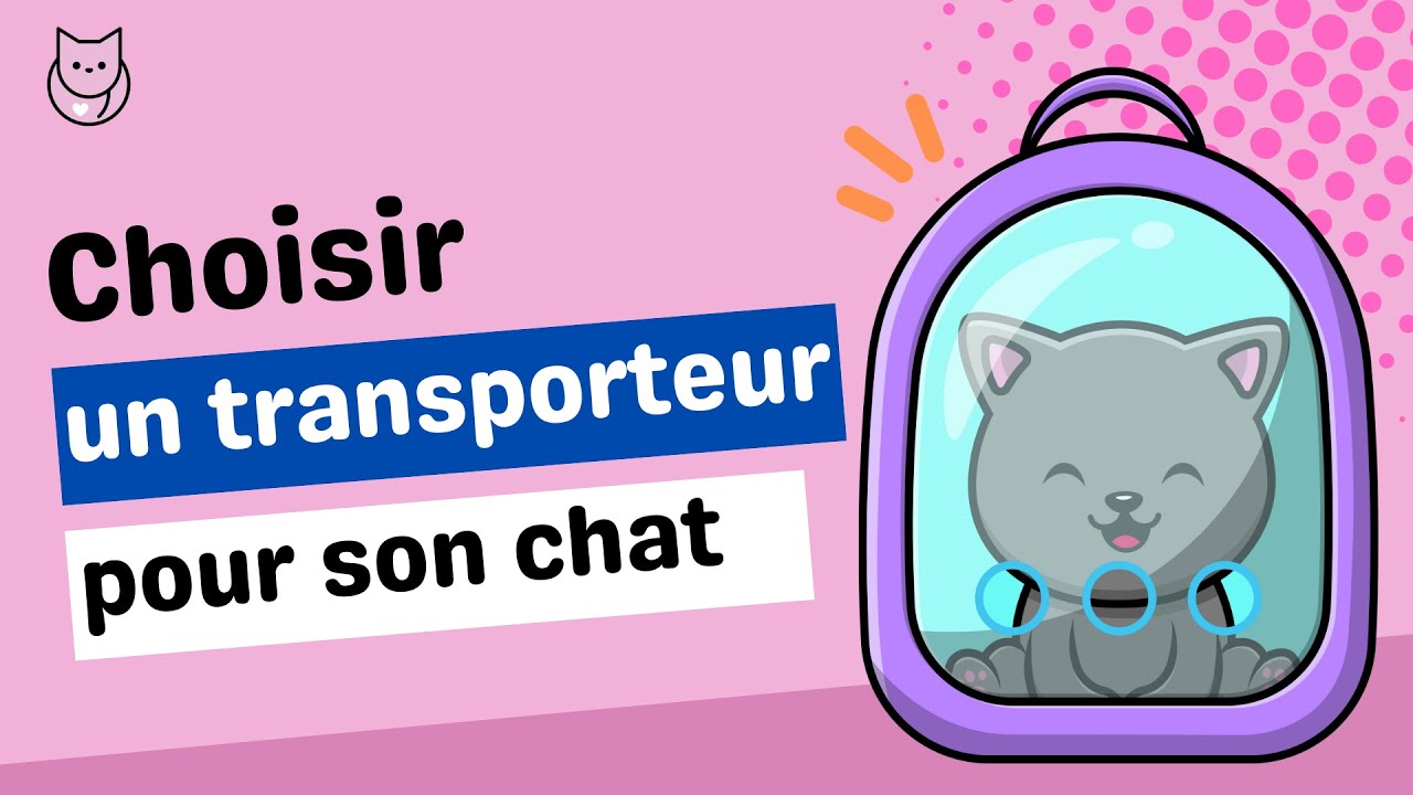 Comment bien choisir sa cage ou son sac de transport pour chat ? - CAT APART