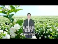 Jasmenfloro 《茉莉花》世界语版