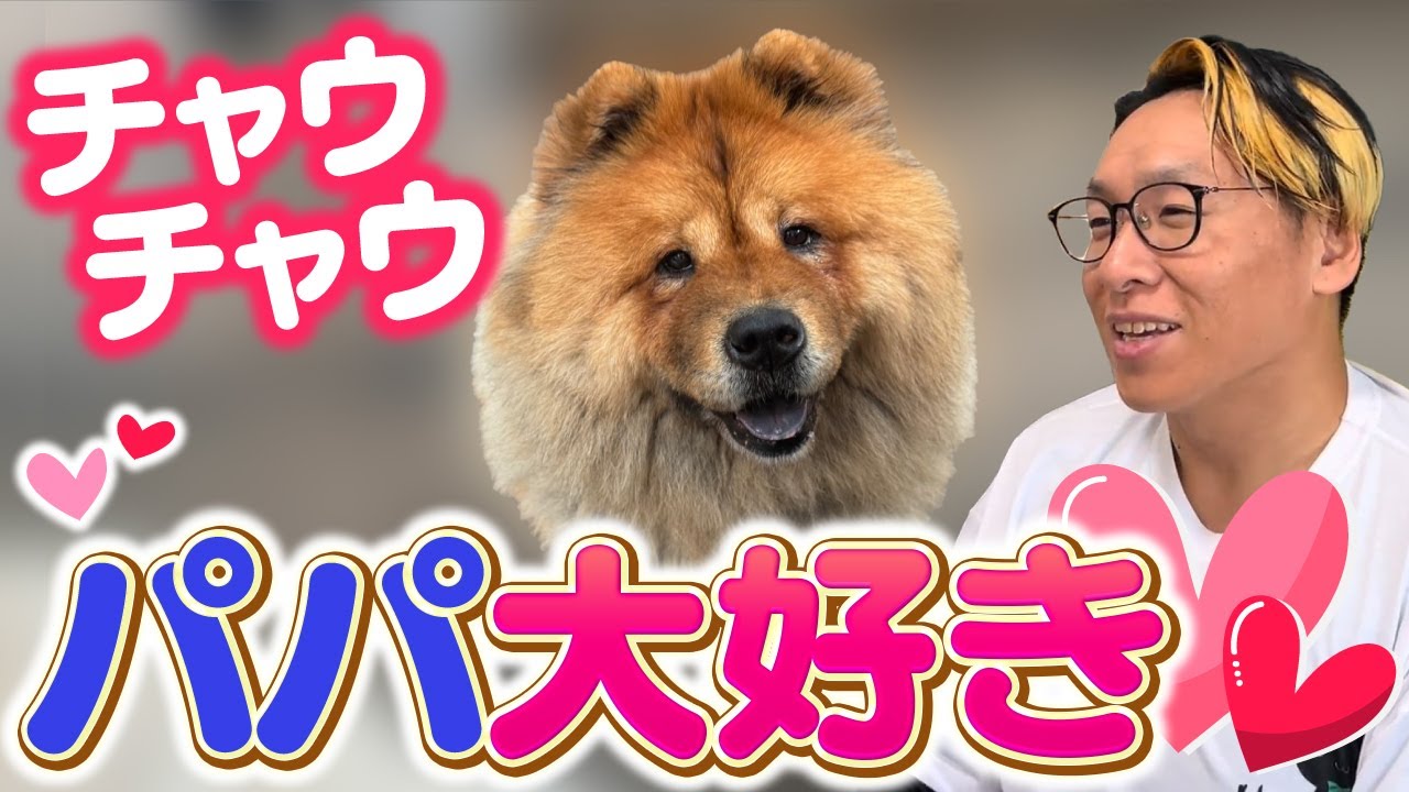 【動物とお話し】パパの事どう思ってる❓