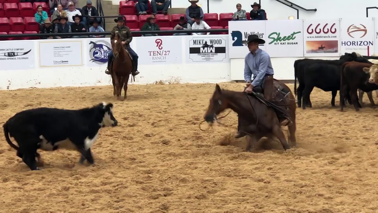 Kenny Platt & Moms Stylish Player winning the 3rd go of NCHA World Finals with a 230!