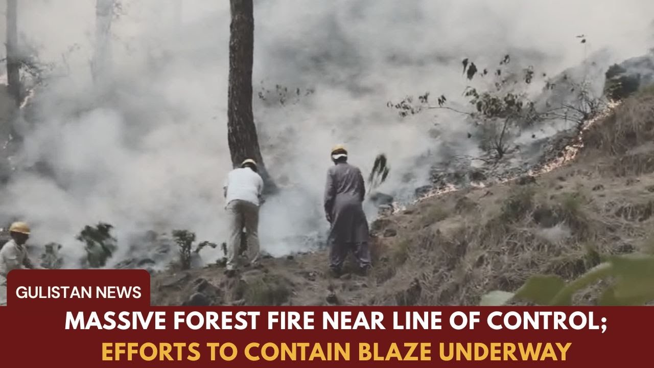 Massive Forest Fire Near Line of Control; Efforts to Contain Blaze Underway