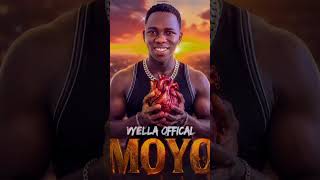 #moyo @vyella-l3t
