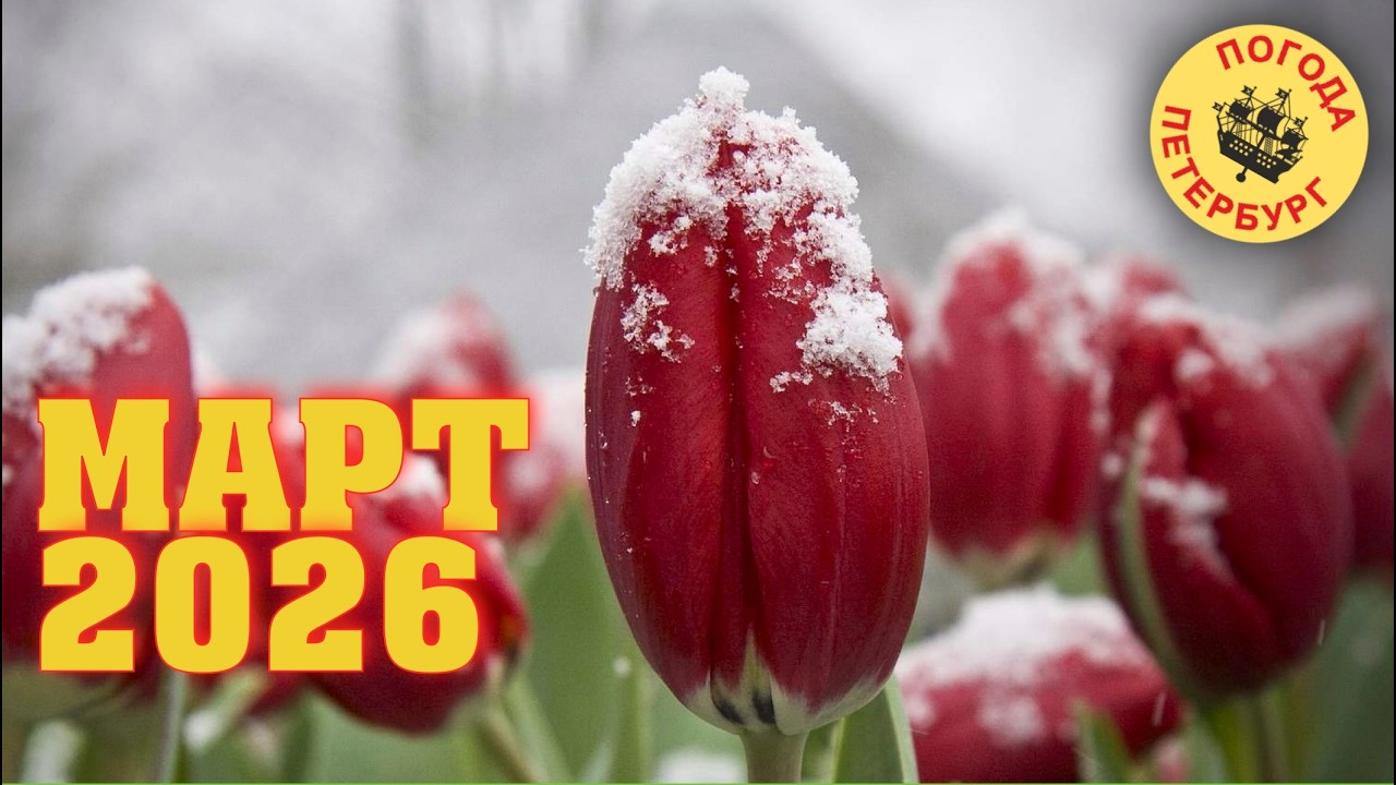 2026.03.06. Погода Петербург. 20:34. +1°. Немного в центр города.
