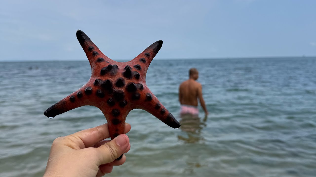 Khám phá rạch vẹm lưới cá bắt sò mai 