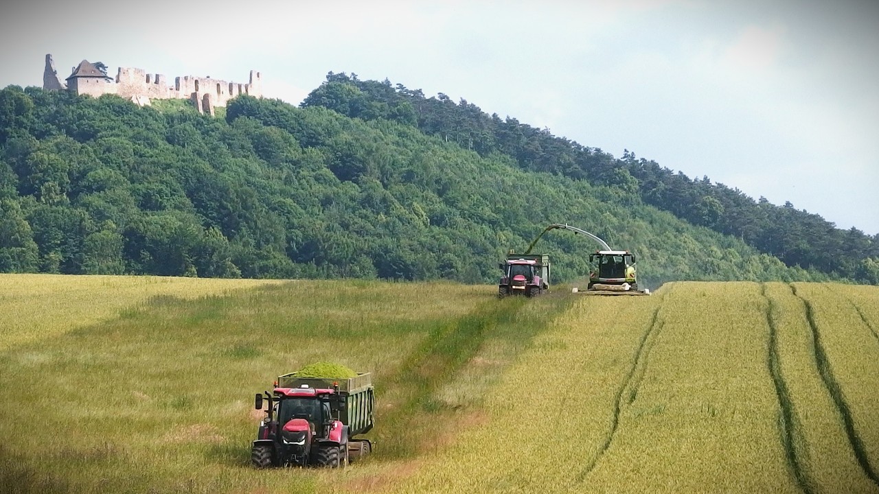 GPS Sklizeň obilovin 2025 | Claas Jaguar 870, John Deere & Case IH / HD