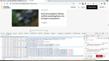 how to import infinite scroll pages to WordPress